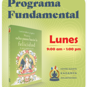 Mensualidad del Programa Fundamental - pago especial (copia)